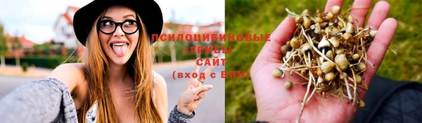 кокаин премиум Липки