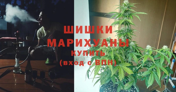 ALPHA PVP Лихославль