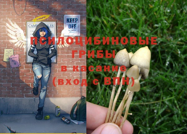 mix Лабытнанги