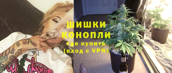 ECSTASY Лиски