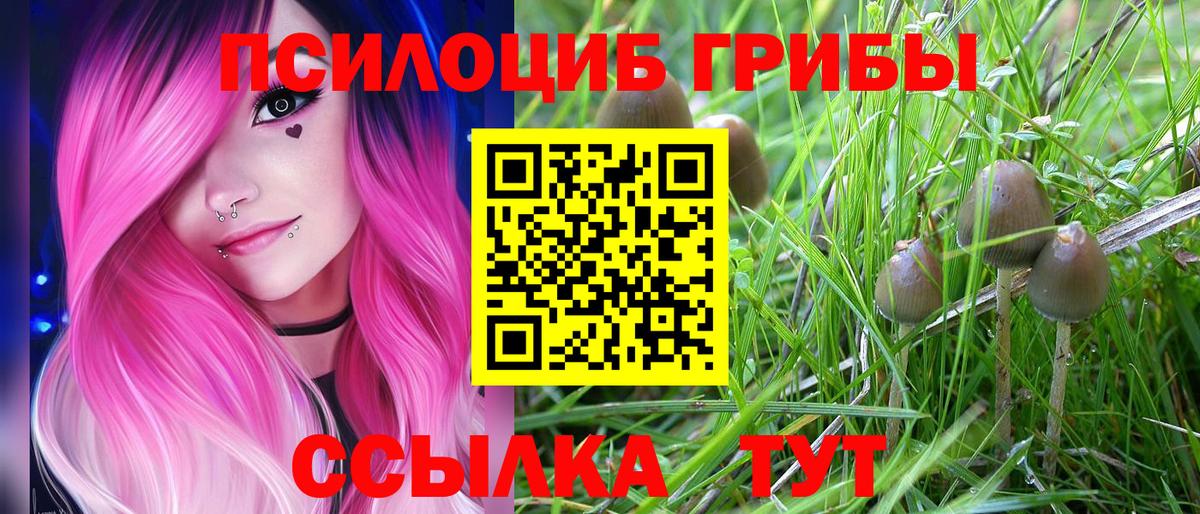 Моршанск  Псилоцибиновые грибы Magic Shrooms  Вход с VPN 
