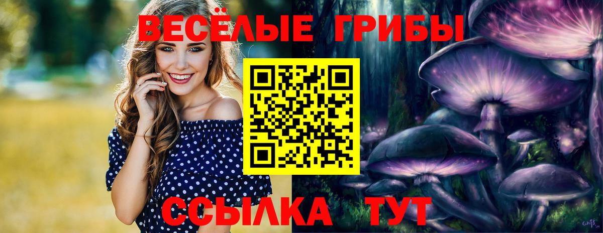 Галлюциногенные грибы Psilocybine cubensis Моршанск